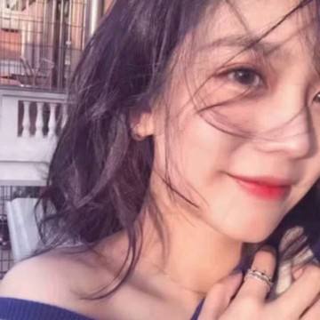 小鸡模拟器tv版永久免费版下载